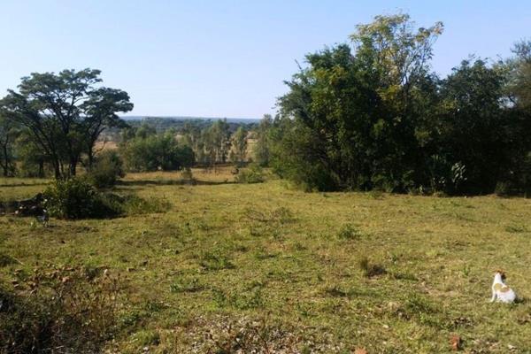 Rustic 74 ha Cattle Farm with 4 Houses
Russtic farm scene situated close to Pretoria, 1.8 km from the Moloto road.
Beautiful river ...