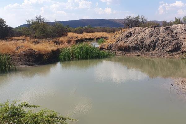 Irrigation and chicken hatching farm near Bela Bela – Asking price R2 650 000 - Cash ...