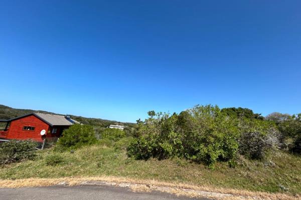 Bushmans Creek is popular for good reason!
A wonderful flat stand that looks across the ...