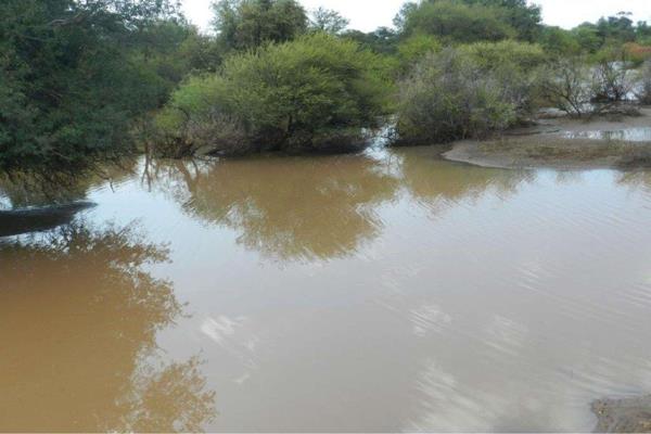 Water Water Water!!!
This farm measures 1715 hectares with game breeding camps with double electrified fencing in between camps and ...