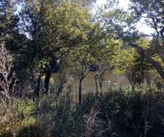 Vacant Land / Plot for sale in Vaal de Grace Golf Estate