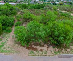 Vacant Land / Plot for sale in Zeegezicht