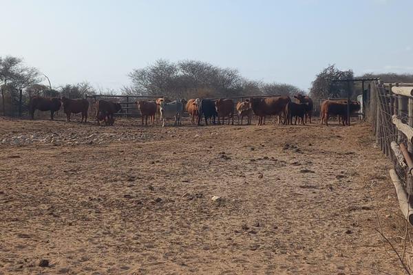 Discover this expansive cattle and game farm located in a prime area, offering a perfect blend of agricultural potential and natural ...