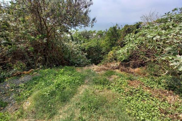 Your Piece of Paradise in Zinkwazi Beach

This exceptional plot of land on Panorama Drive presents a rare opportunity to build the home ...