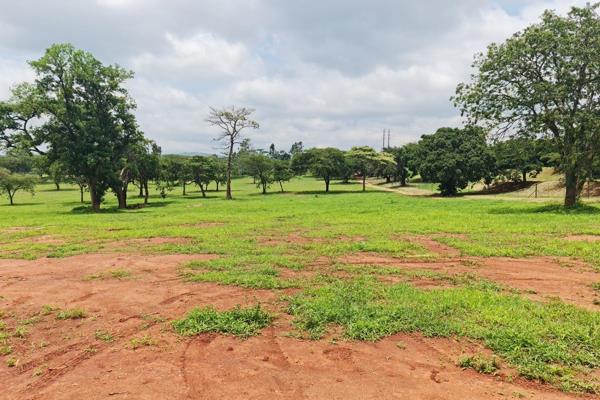 Available Vacant Lots in Yellow Wood Estate, Tzaneen

- Fully serviced
- Level terrain
- Established building guidelines
- Ideally ...