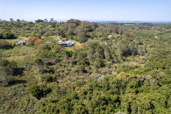 Exclusive Mandate - This large piece of vacant land is surrounded by indigenous Albany ...