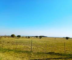 Farm for sale in Schoongezicht