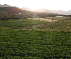 Farm for sale in Montagu Rural