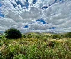 Farm for sale in Loerieheuwel