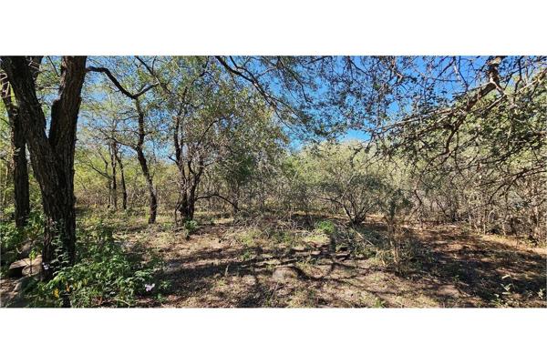 Discover an exceptional opportunity to own a pristine piece of land in the serene and idyllic setting of Marloth Park. Located on a ...