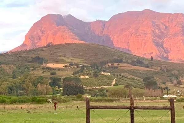 This farm has beautiful views of the Paarl mountain as well as the Drakenstein mountains. Situated between Paarl and Wellington it has ...