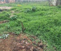 Vacant Land / Plot for sale in Ngwelezana