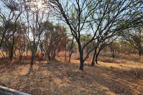 There is a 16,200 m&#178; vacant land for sale in Kameelfontein Landgoed, situated close to Pebble Rock Golf Estate and private ...