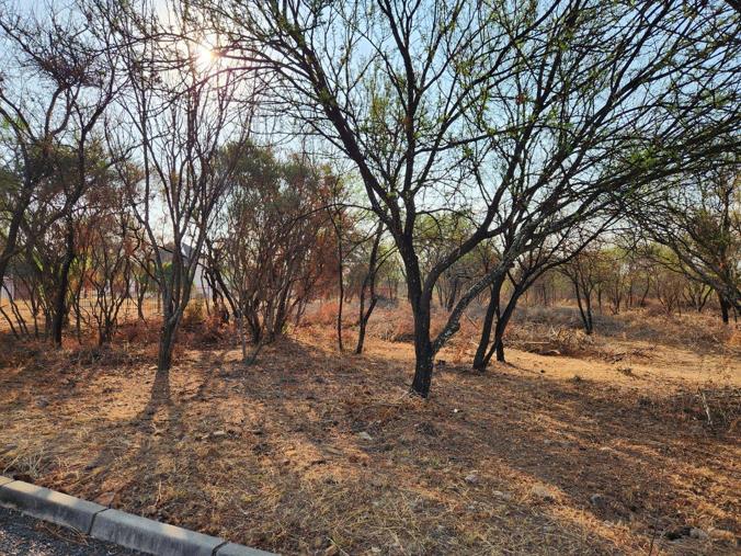Farm for Sale in Kameelfontein
