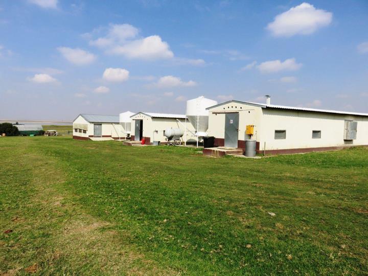 Farm for sale in Deneysville - P24-105156791