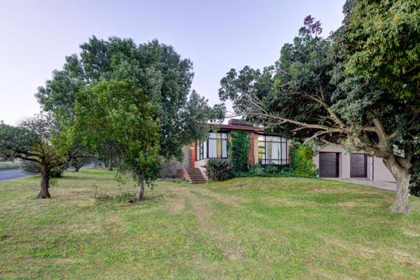 Open hour: sunday 8 december 2024 from 16h00 – 17h00

viewing by appointment only

please arrange your viewing slot with carlou brand ...