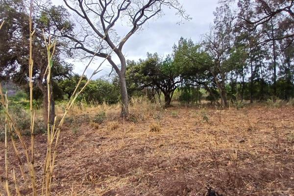 Prime Real Estate Opportunity: 2 Hectare Vacant Plot in Broederstroomdrift, Tzaneen 

Escape to nature with this stunning 2-hectare ...