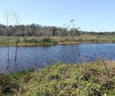 Farm for sale in Port Elizabeth Rural