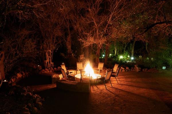 Lodge in Dinokeng
Beloved and well known Lodge on 21ha where you can enjoy the peace ...