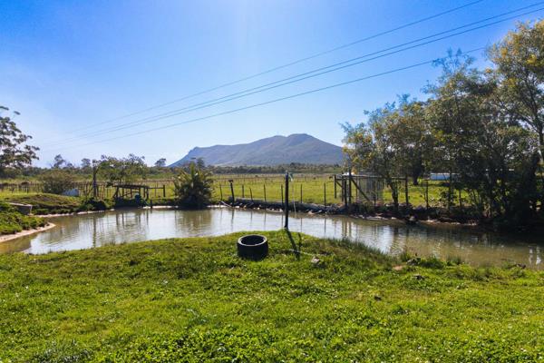 Charming 8.79 ha Farm for Sale Near Lady Slipper Mountain

Situated under the Lady Slipper Mountain, this versatile farm offers an ...