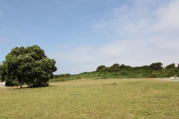 Build your dream home on this vacant stand overlooking a large open park-like area which has lovely indigenous bush across from this ...