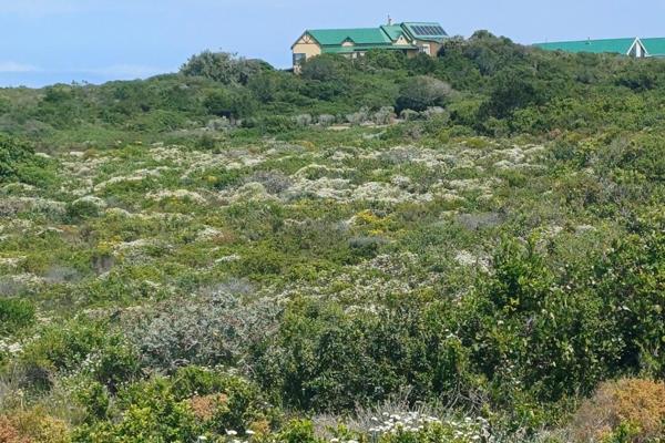 Situated between St Francis Bay and Cape St Francs, the St Francis Field Country estate offers you the best of both worlds.
Whether ...