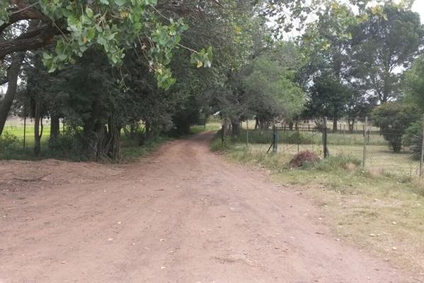 8.5 Ha Valuable Farm land, ideal for crops or to run a business from. Centrally located close to Shops / Churches and Town.