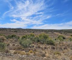 Vacant Land / Plot for sale in Willowmore