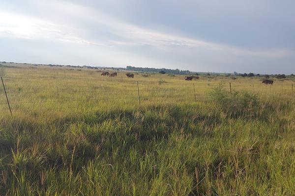 Farm for Sale - 579 Hectares Between Kroonstad and Koppies, Free State
This expansive farm offers a unique opportunity for agricultural ...