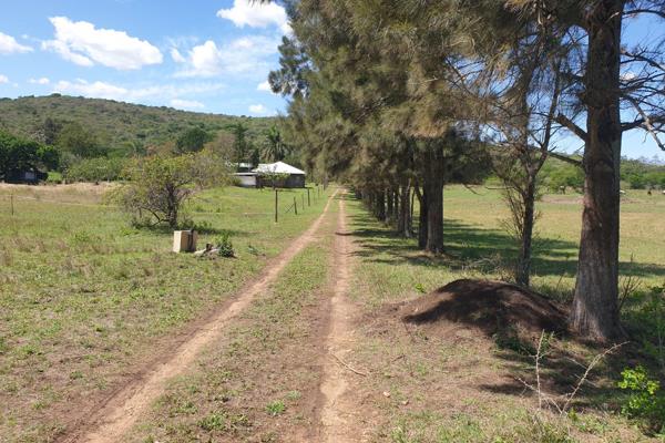 Situated on the banks of the Nseleni River, this property is based just 13 km out of the town of Empangeni, with access to the farm via ...