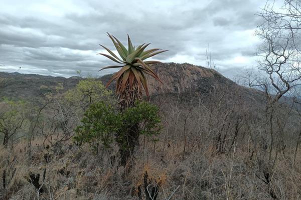 Discover your slice of paradise in the breathtaking Lowveld area near Nelspruit! This stunning 4.7-hectare farm offers a unique ...