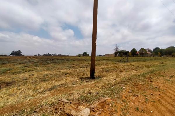 This property features
EMPTY LAND 
No borehole 
No electricity
 
 