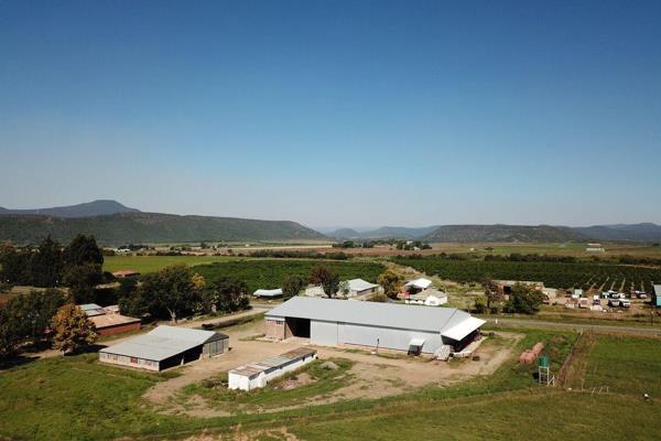 4 adjacent subdivisions of fertile arable and irrigated soil, no unuseable land. 37ha under pivot, 10ha under dragline, unlimited ...