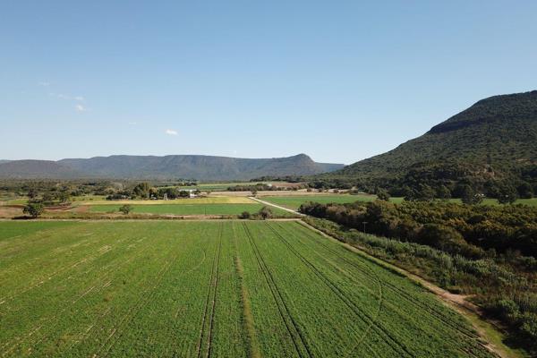 Fertile, pivot irrigated crop farm set alongside the Bushmans River. 30ha of irrigated land of which 25ha is under centre pivot. Large ...