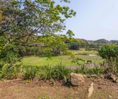 Vacant Land / Plot for sale in Selborne Golf Estate