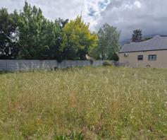 Vacant Land / Plot for sale in Villiersdorp