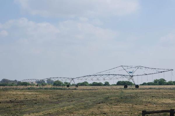 586 Hectare Irrigation Farm in Frankfort, Free State

This exceptional 586-hectare irrigation farm, situated in the tranquil and ...