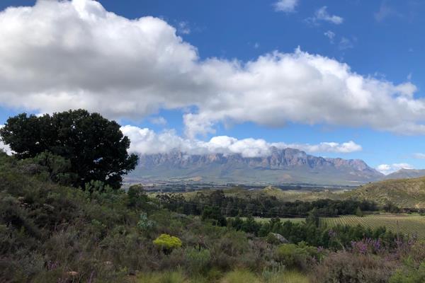 Nature’s Retreat in Bainskloof: A Canvas for Your Serene Escape

Nestled at the base ...