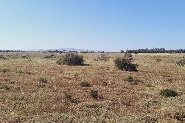 Open. vacant land for sale close to Vredenburg, on the Eenzaamheid small holdings and farms.

Approved plans for barn.
Zoned for ...