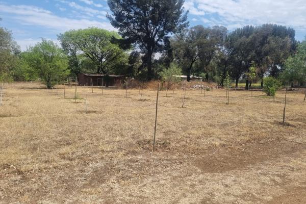 Lovely 0.91 Hectar subdivided property situated in a popular area of Vanderbijlpark.
Featuring a fully functional Borehole.

Call me ...