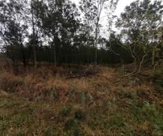 Vacant Land / Plot for sale in Stutterheim