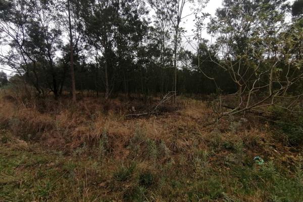 Stutterheim.
Large agricultural ground of 20890sm available for sale at very reasonable price. Needs to be cleared as a lot of wattle ...