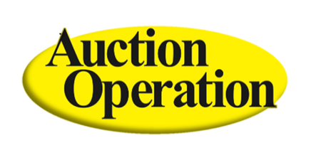 Property for sale by Auction Operation