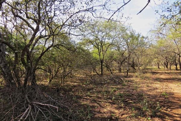 Exclusive mandate!

Spacious vacant land measuring approximately 1,725m2, offering a prime opportunity to build your dream home. ...