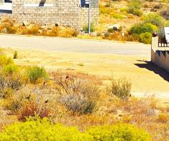 Vacant Land / Plot for sale in Springbok