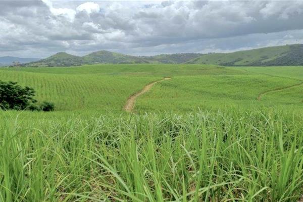 Exclusive sole mandate
This 671,5 ha well-established farm has &#177;400 ha sugarcane plantations and 20 ha macadamia trees, as well ...