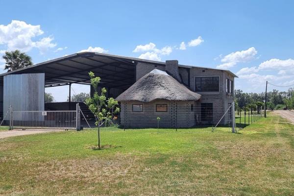 Expansive 25 Hectare Irrigation Farm with Pecan Trees and Lucerne – Prime Location on the Riverfront

This well-maintained 25-hectare ...