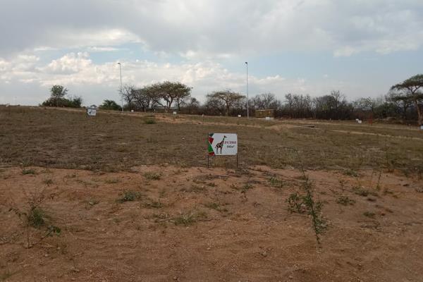 Flat vacant stands available at Kamagugu Ext 4 selling from R383 500 (307m2) to R 569 500(495m2), The stands are part of the phase 2 ...