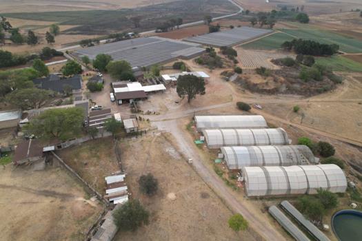 Farm for sale in Delmas