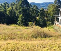 Vacant Land / Plot for sale in Town Bush Valley